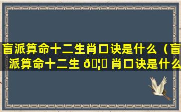 盲派算命十二生肖口诀是什么（盲派算命十二生 🦅 肖口诀是什么意思）